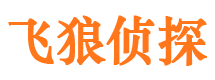 城区侦探公司